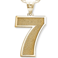 Single Number Pendant or Charm