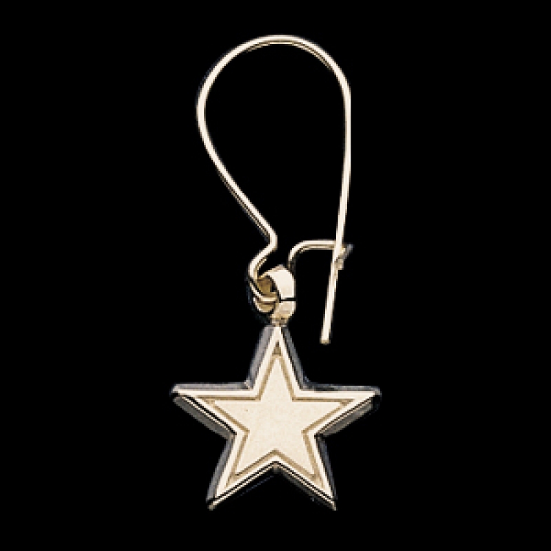 DALLAS COWBOYS NFL STAINLESS STEEL STAR DOG TAG