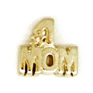 Glass Charm Locket   1 Mom Charm