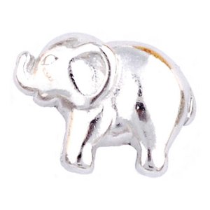 Glass Charm Locket Elephant Charm