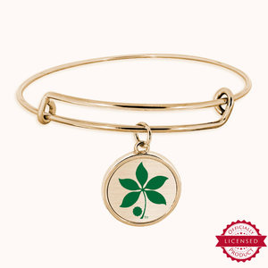 Alex and ani discount ohio state bracelet