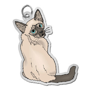 Cat   Siamese Charm