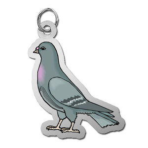 Pigeon Charm