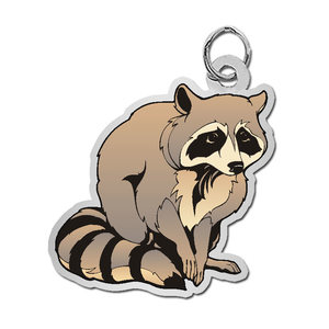 Raccoon Charm