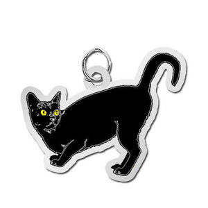 Cat   Black Charm