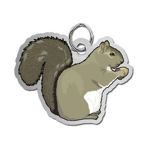 Squirrel Charm