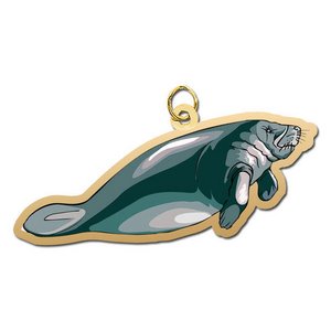 Manatee Charm